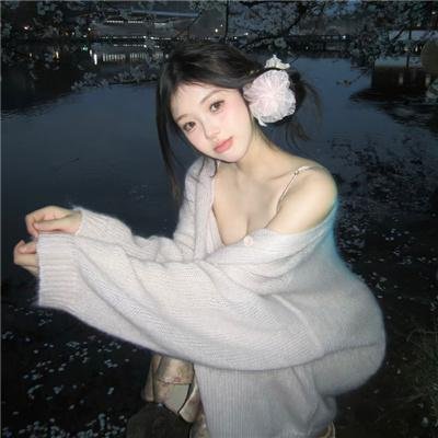 履历
