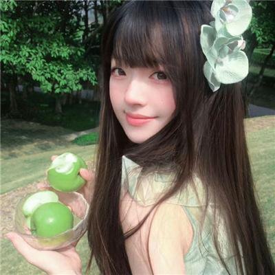 狗的生涯